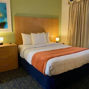 Ficus 3*, San Juan Puerto Rico